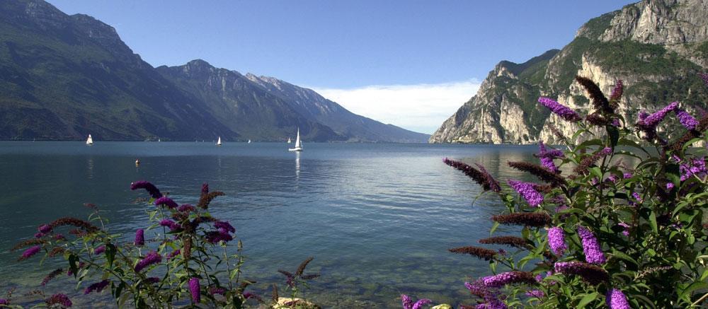 Villa Linfano Torbole Sul Garda Kültér fotó